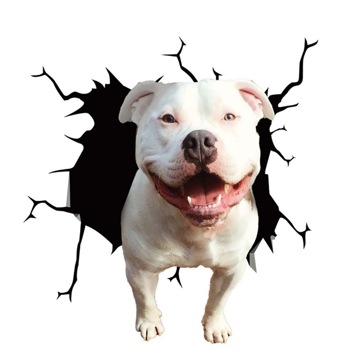 Dekoratív matrica kutya pitbull terrier, otthonra vagy autóra, prémium öntapadó, 30 x 30 cm, eredeti ajánlatok