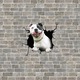 Amerikai Pitbull kutya dekoratív matrica, otthonra vagy autóra, prémium öntapadó, 30 x 30 cm, eredeti ajánlatok