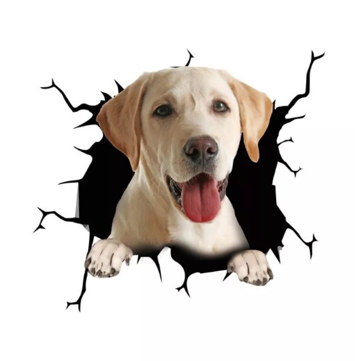 Labrador retriever kutya dekoratív matrica otthonra vagy autóra, prémium öntapadó, 30 x 30 cm, eredeti ajánlatok