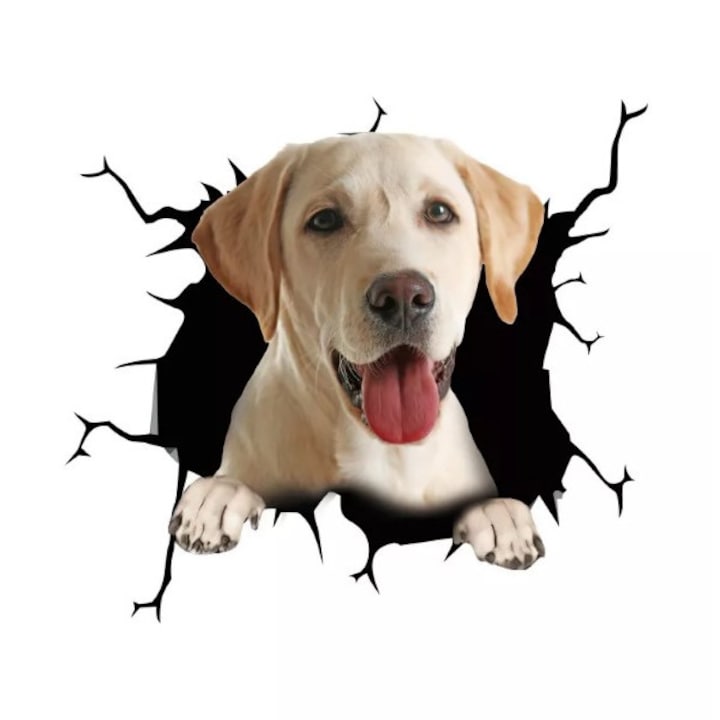 Labrador retriever kutya dekoratív matrica otthonra vagy autóra, prémium öntapadó, 30 x 30 cm, eredeti ajánlatok