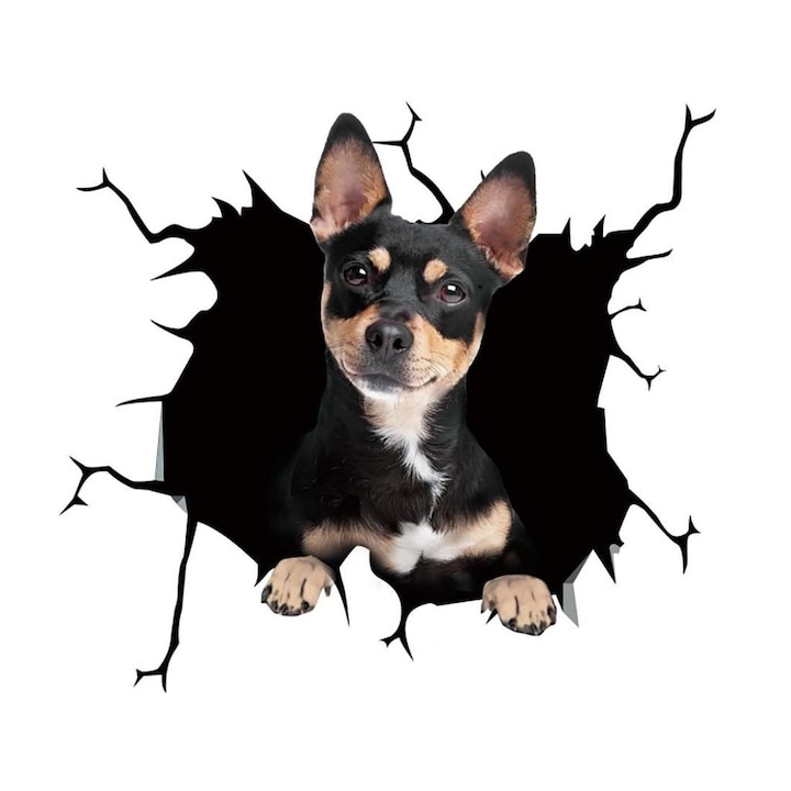 Chihuahua kutya dekoratív matrica otthonra vagy autóra, prémium öntapadó, 30 x 30 cm, eredeti ajánlatok