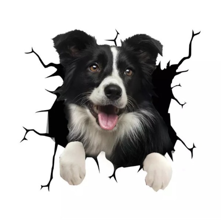 Bordercollie kutya dekoratív matrica, otthonra vagy autóra, prémium öntapadó, 30 x 30 cm, eredeti ajánlatok