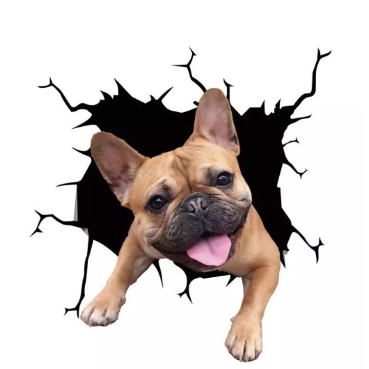 Barna francia bulldog kutya díszítő matrica, otthonra vagy autóra, prémium öntapadó, 30 x 30 cm, eredeti ajánlatok