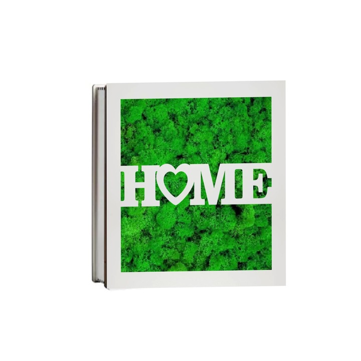 Tablou Licheni Stabilizati, Home, Verde, 19x19 cm, DL014
