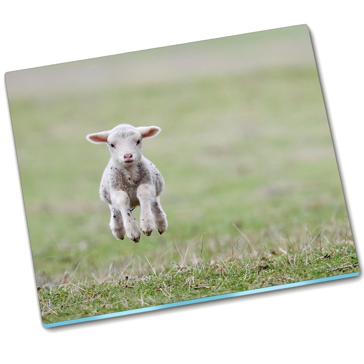 Tocator. Tulup. Miel dulce. 60 x 52. Verde