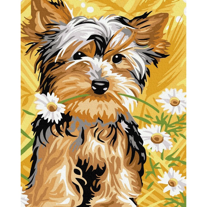 Set pictura pe numere, Caine dulce, 40x50 cm