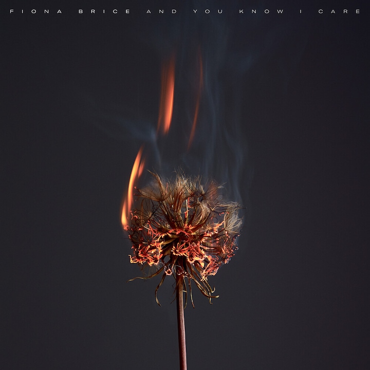 Fiona Brice - And You Know I Care (LP)