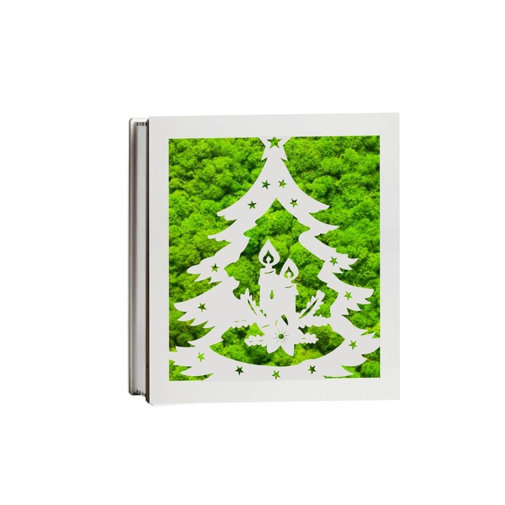 Tablou, Cutie Aranjament Licheni Stabilizati, Craciun, Verde, 19x19 cm, DL043