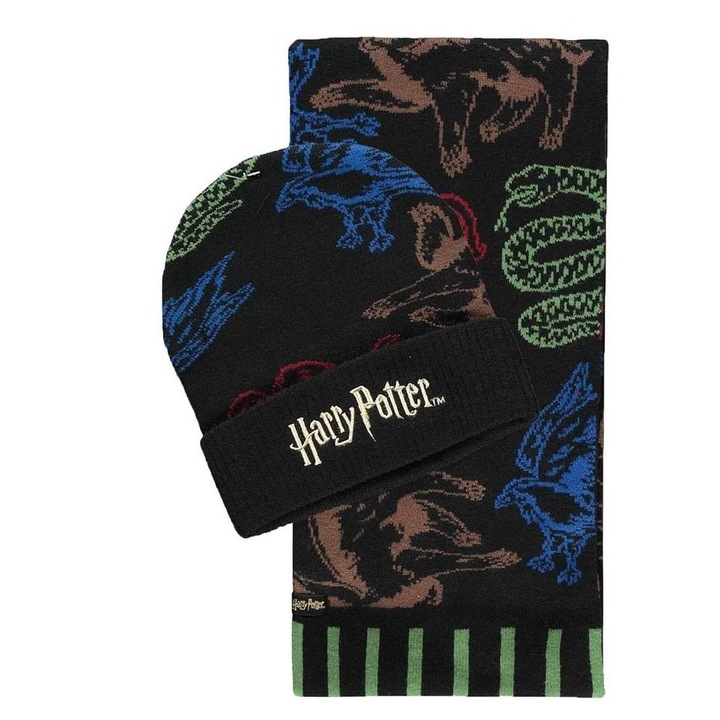 Комплект шал и шапка DIFUZED Harry Potter, Черен