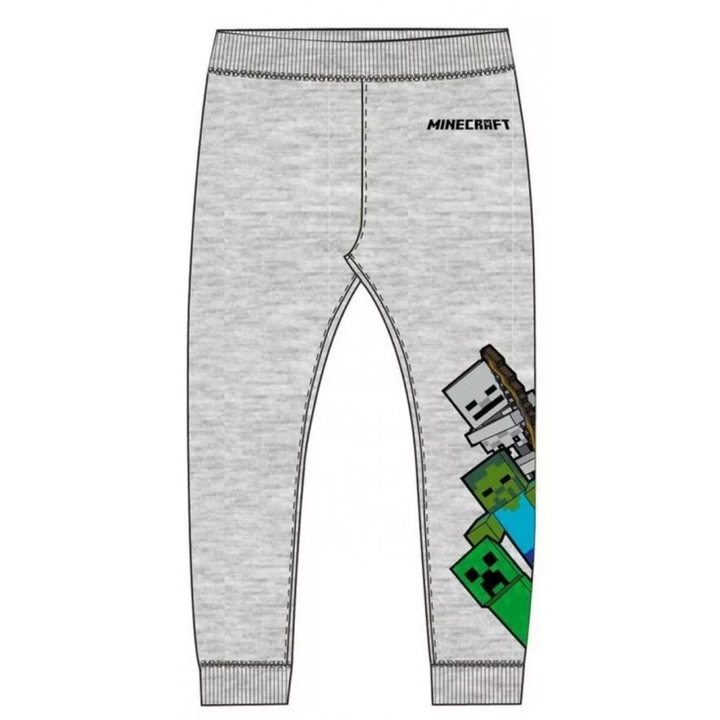 Спортни дълги панталони Minecraft Skins Grey, Многоцветен