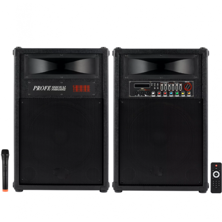Set de 2 Boxe, Putere 1000W, Reglaje, Accesorii Incluse, Negru