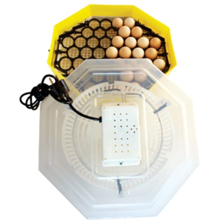 Cleo 5D Elektromos inkubátor, Tojás visszavezető eszközzel, 230 V, 41 tojás kapacitás, 38 °C inkubációs hőmérséklet