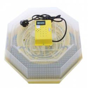 Incubator electric oua (clocitoare) cu dispozitiv de intoarcere si termometru Cleo 5DT, 230 V, 41 oua capacitate, 38°C temperatura incubare