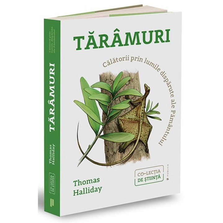 Taramuri, Thomas Halliday