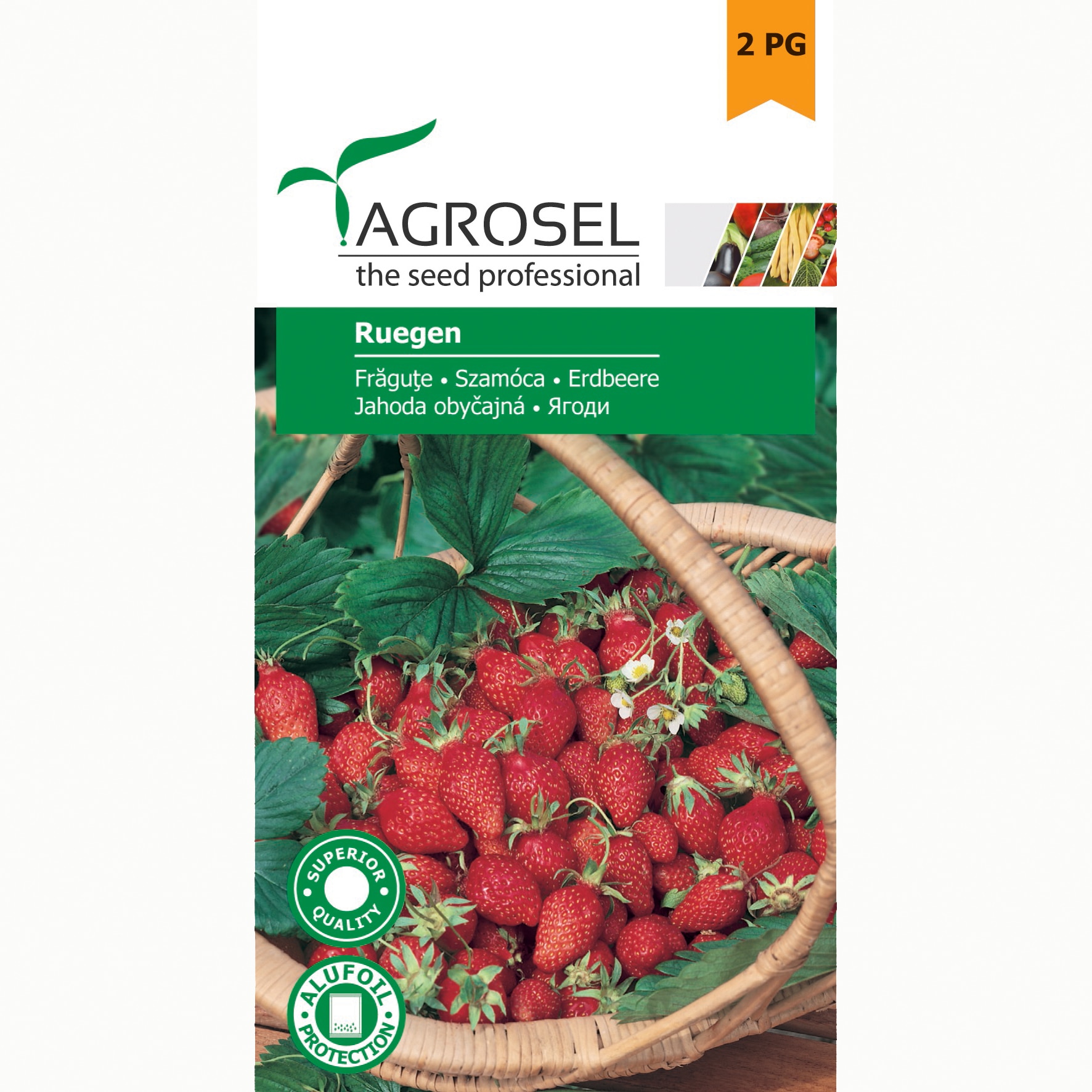 Seminte fragute Ruegen, Agrosel