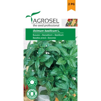 Seminte busuioc, 2 gr, Agrosel Seminte busuioc, 2 gr, Agrosel