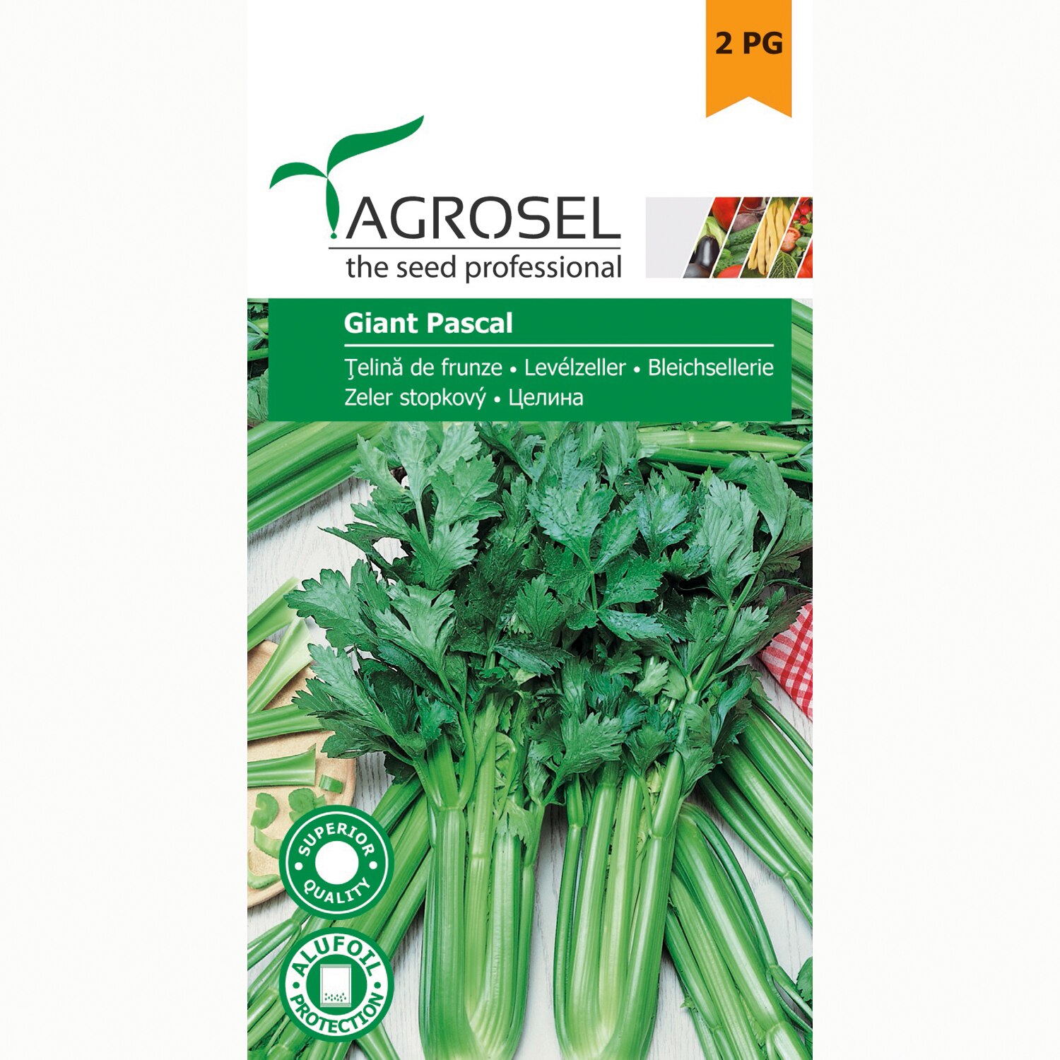 Seminte telina de frunze Pascal Giant, 2 gr, Agrosel