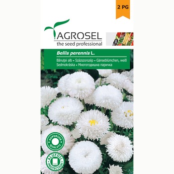 Seminte banutei alb, 0.3 gr, Agrosel Seminte banutei alb, 0.3 gr, Agrosel