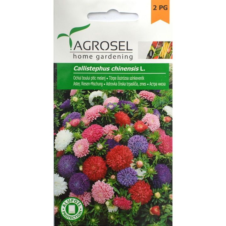 Семена Agrosel, Астра, Ниска, 1 гр