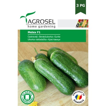 Seminte castraveti Metex F1, 15 seminte, Agrosel Seminte castraveti Metex F1, 15 seminte, Agrosel