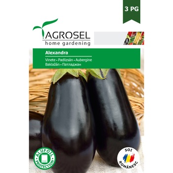 Seminte vinete Alexandra, 3 gr, Agrosel Seminte vinete Alexandra, 3 gr, Agrosel