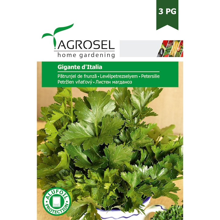 Seminte patrunjel de frunza Gigante d'Italia Agrosel, 5 g