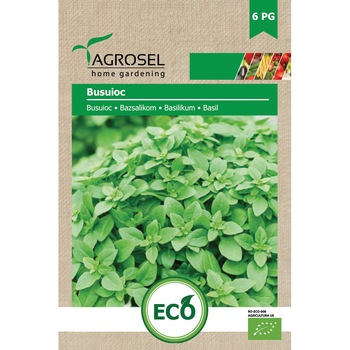 Seminte busuioc, 1 gr, Agrosel Seminte busuioc, 1 gr, Agrosel