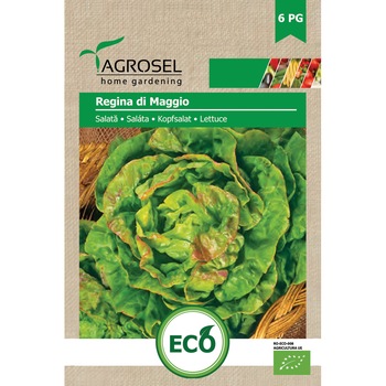 Seminte salata Regina di Maggio, 3 gr, Agrosel Seminte salata Regina di Maggio, 3 gr, Agrosel