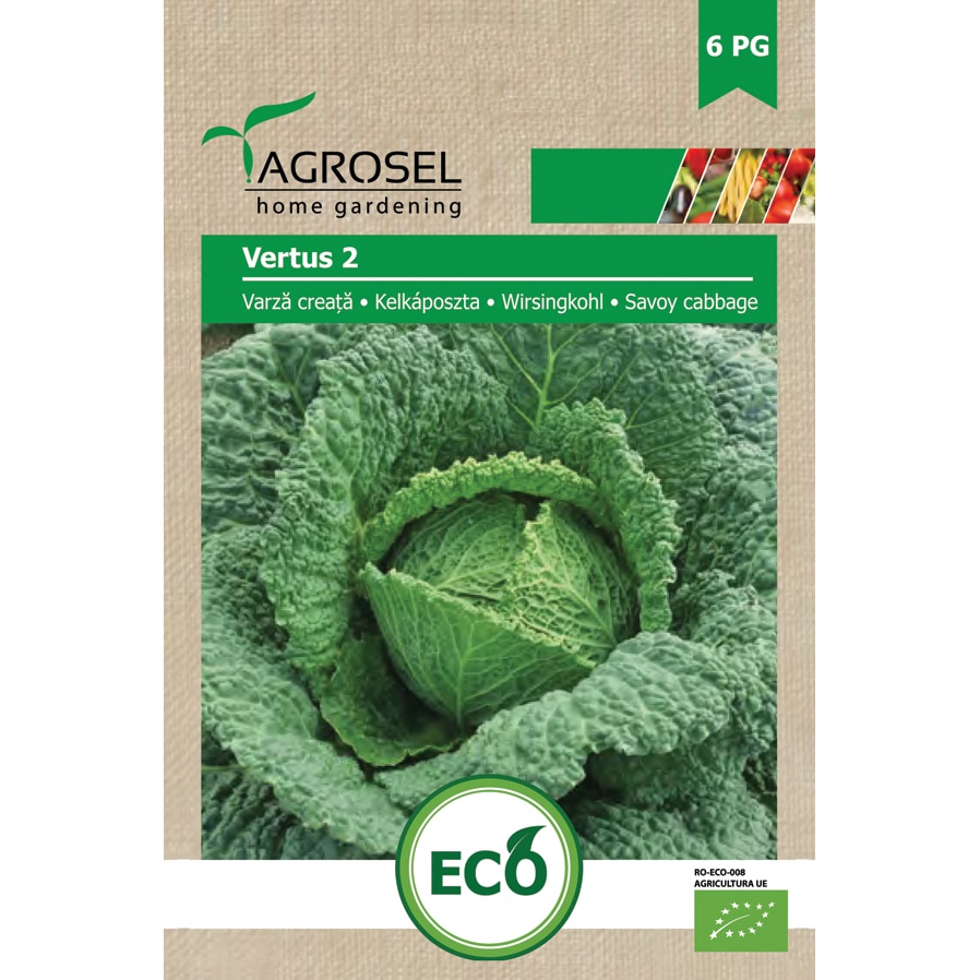 Seminte varza creata Vertus 2, 3 gr, Agrosel