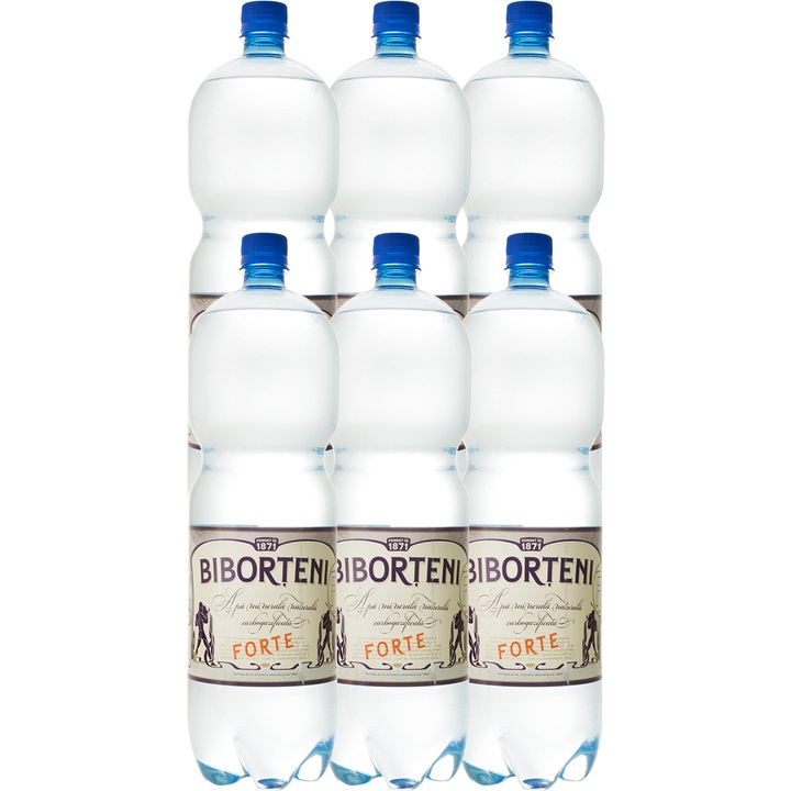 Apa minerala carbogazoasa Forte, Biborteni, 6 x 2l