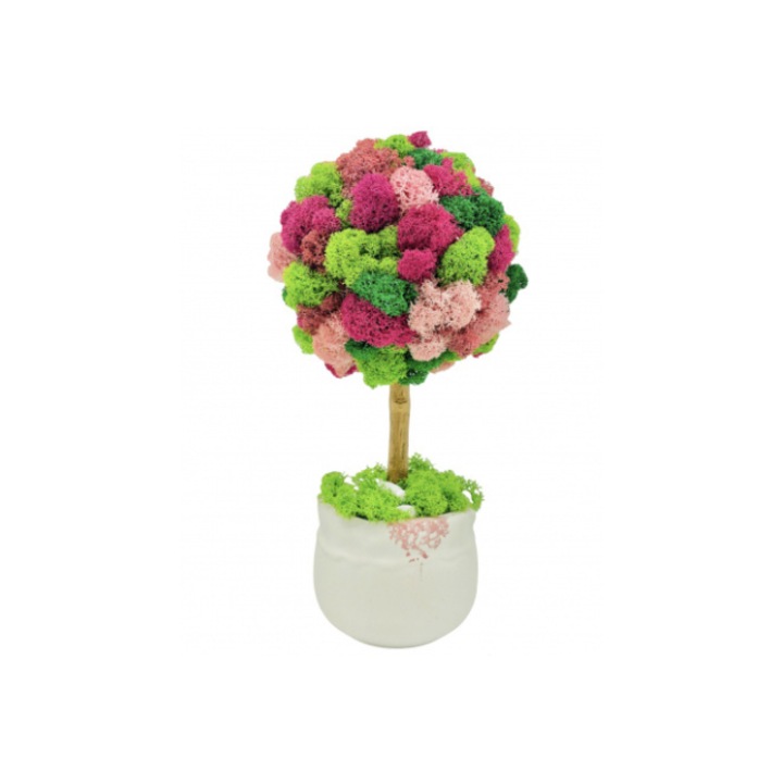Aranjament floral personalizabil, mic 27 cm, tip copacel / pomisor cu licheni naturali stabilizati in vas ceramic Multicolor
