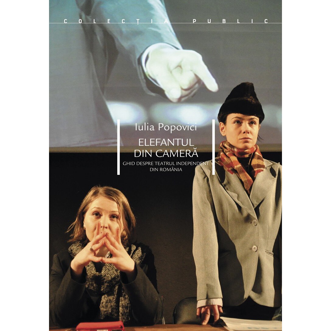 Elefantul din camera - Iulia Popovici
