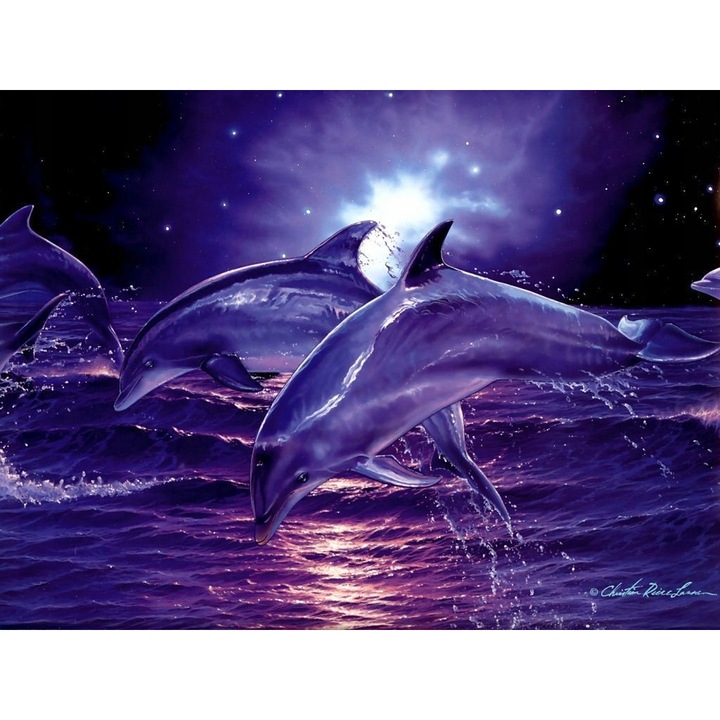Set mozaic de broderie, Pentru pictura cu diamant, Delfini, 5D