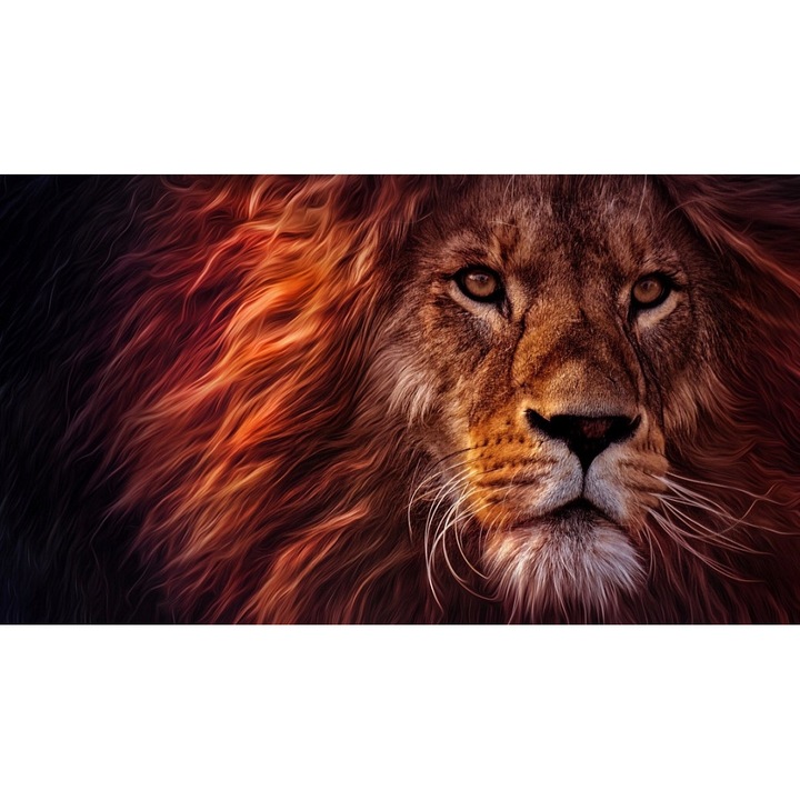 Set mozaic de broderie, Pentru pictura cu diamant, 5D