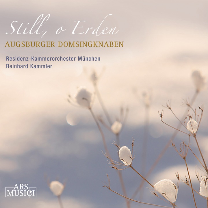 Augsburger Domsingknaben - Still, O Erden CD