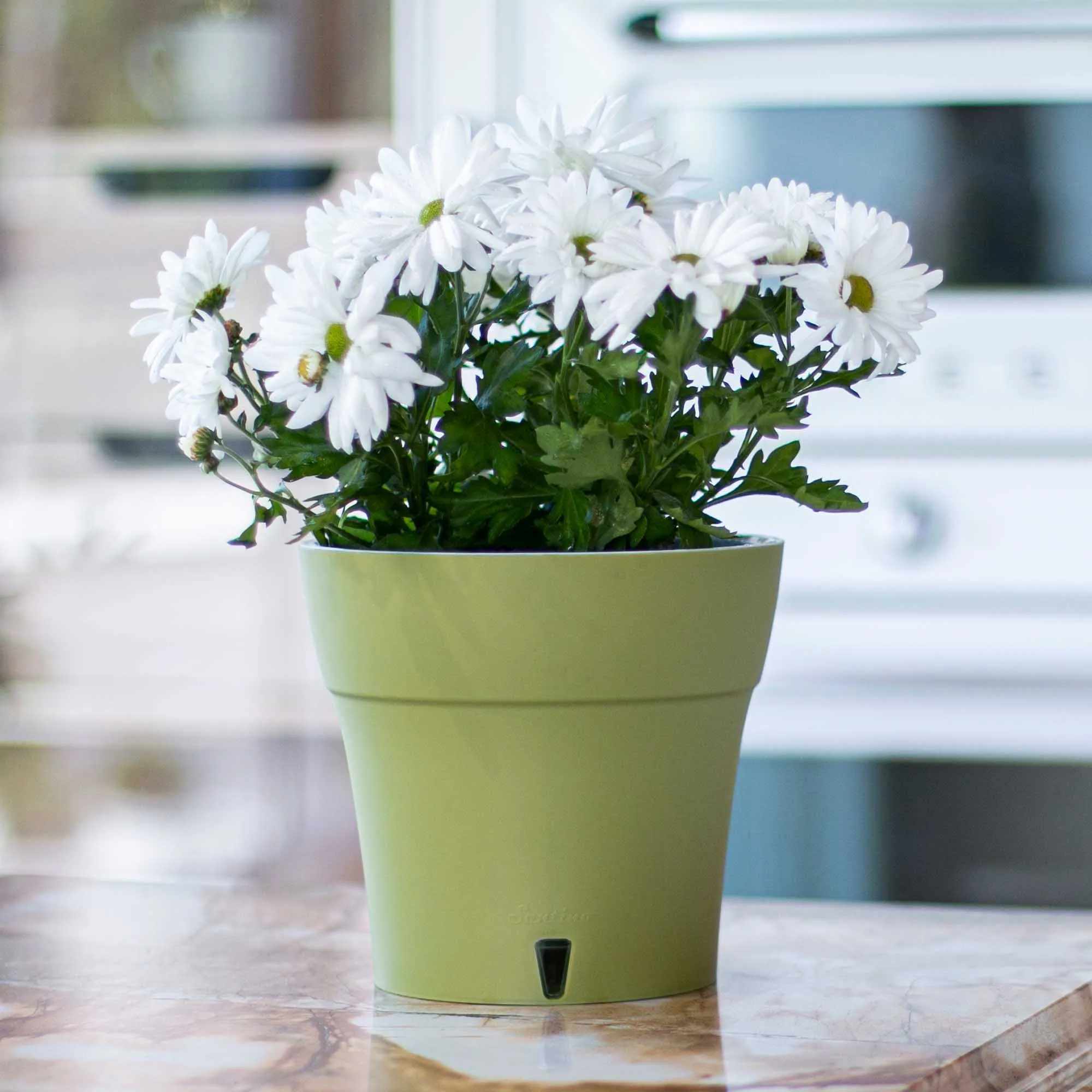 DALI Самополивни саксии, с обем 3.5L, цвят "DALI" Pots 3.5L, Olive-Grey ...