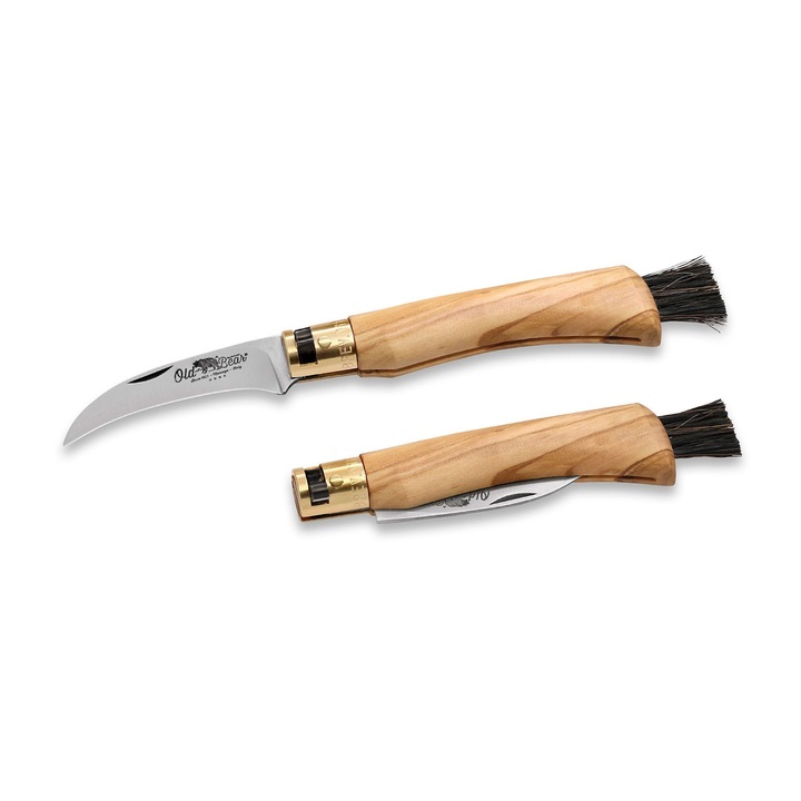 Briceag Pentru Ciuperci, Antonini Old Bear Mushroom Olive, Lama Hawkbill Din Otel Inoxidabil AISI 420, Perie Naturala Pentru Curatare, Maner Din Lemn De Maslin, Blocare Patenta Viro Lock, Ideal Pentru Ciupercari, Fabricat In Italia, 19.8 cm