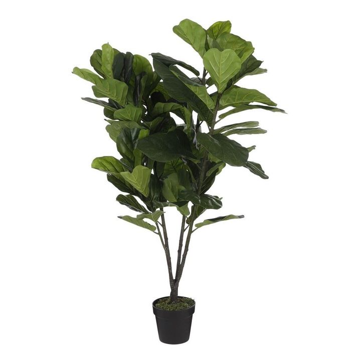 Изкуствено растение Ficus Lyrata 150см