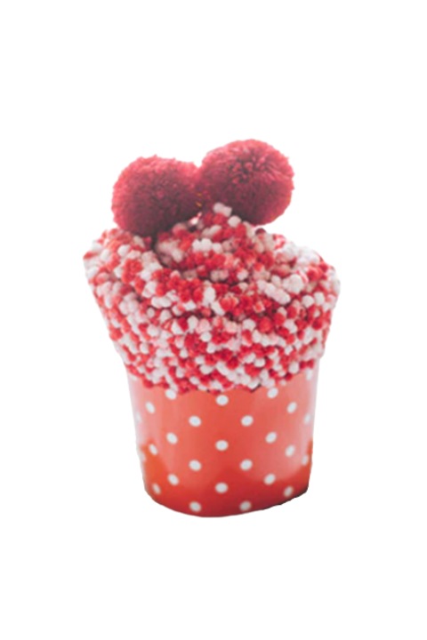 Sosete dama, calduroase, moi, model briosa, cu ciucurei, marime 36-42, rosii, EFAYN