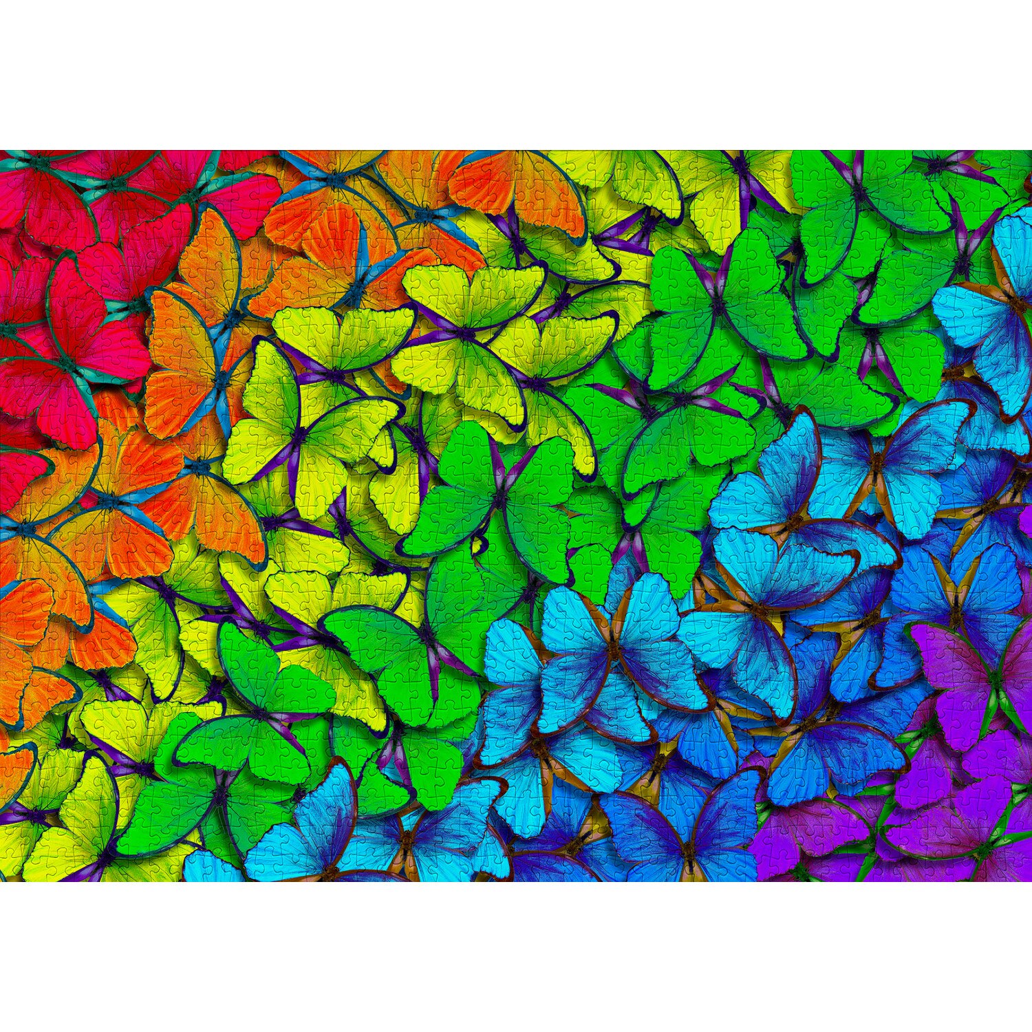 Puzzle 1000 Piese ENJOY – Rainbow Butterflies, Fluturi Colorati in