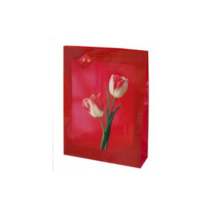 Punga cadou hartie TG-40, Canapol, 33x45.7x10.2 cm, Rosu