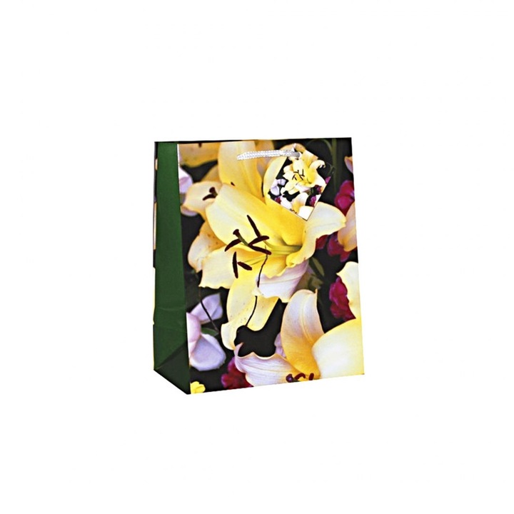 Punga cadou TR-40, Canpol, Hartie, 33x45.7x10.2 cm, Multicolor