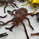 Figurák Mystic Insects, Jumbo 8-12cm, 8 db/szett, VisionXXI