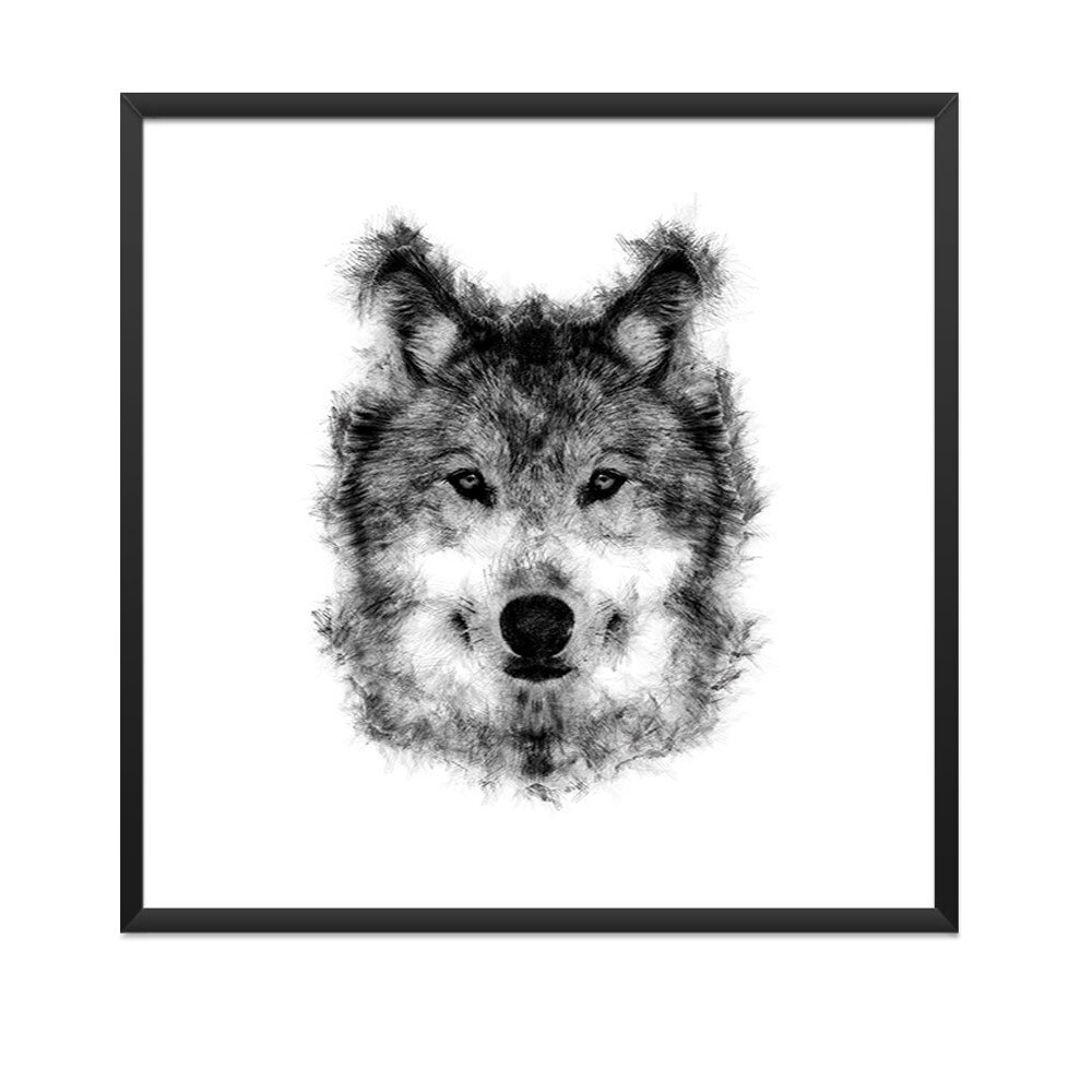 Tablou cu Rama Neagra - Premium - Lupul misterios - 70x70 cm