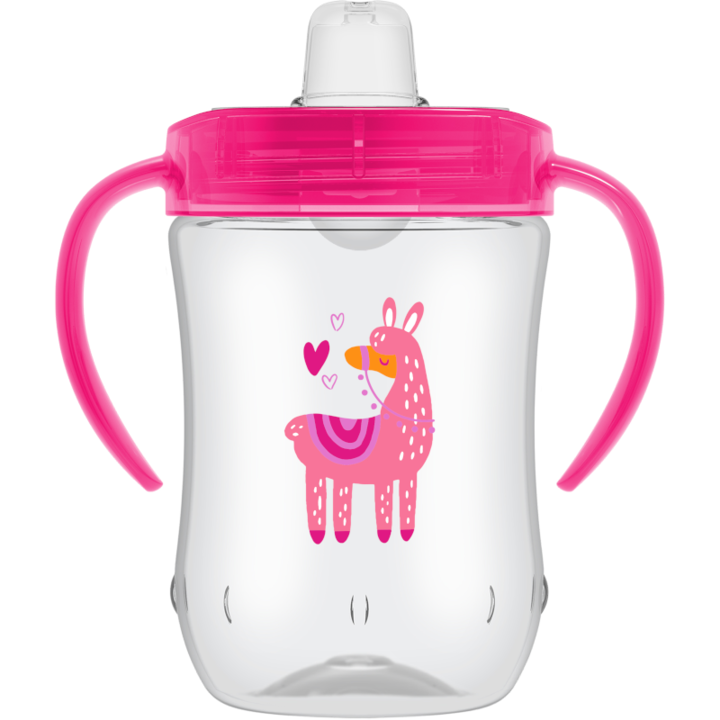 Cana Dr. Brown's cu tetina de formare, 270ml, 9 luni +, Rosu