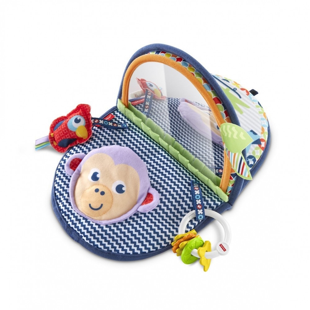 Set de joaca Fisher Price, Maimuta cu oglinda