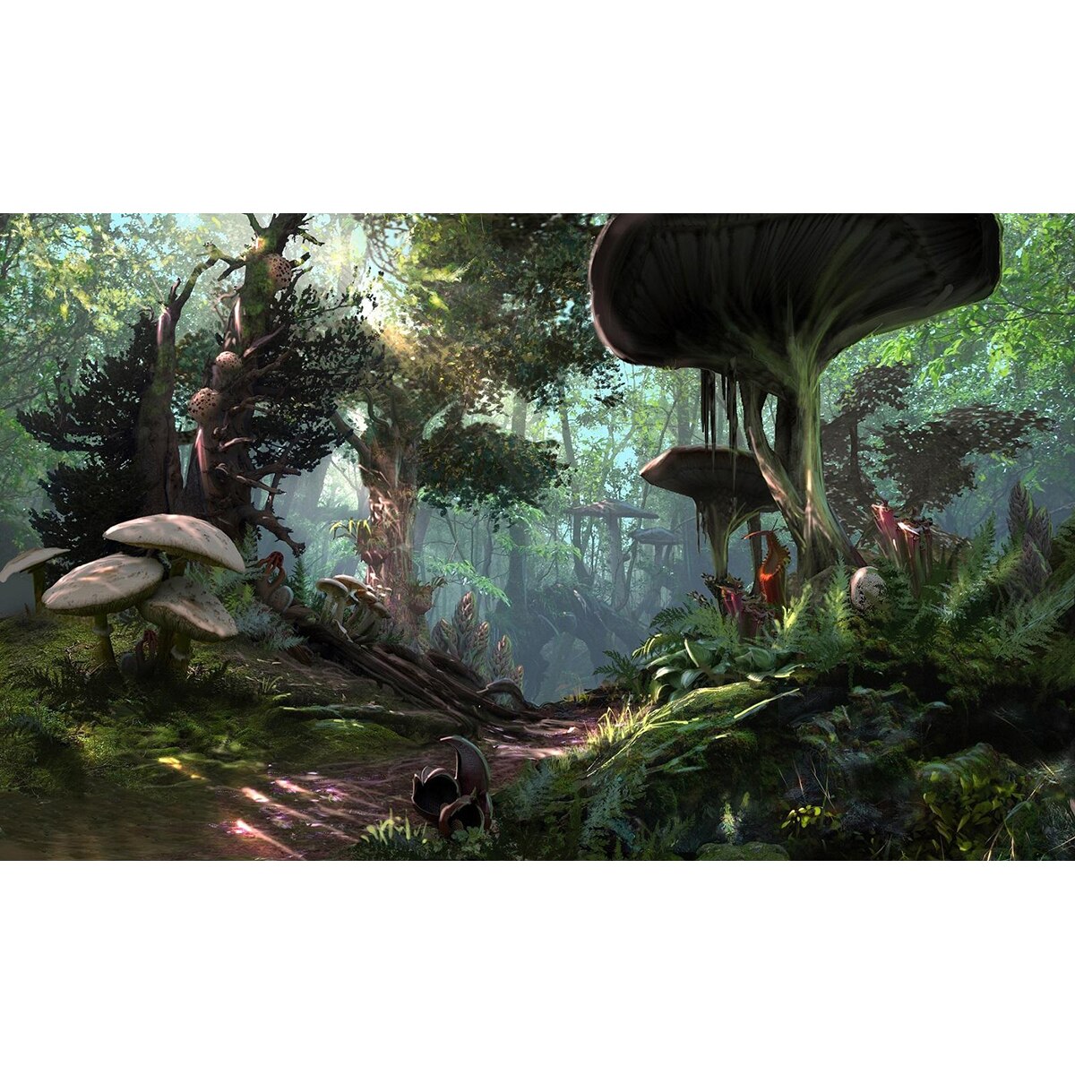 Joc The Elder Scrolls Online Morrowind pentru PC - eMAG.ro