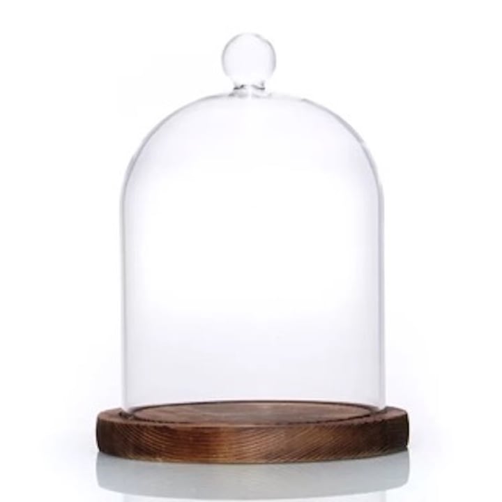 Cupola de sticla, H 20 cm D 11 cm, cu baza din lemn maro