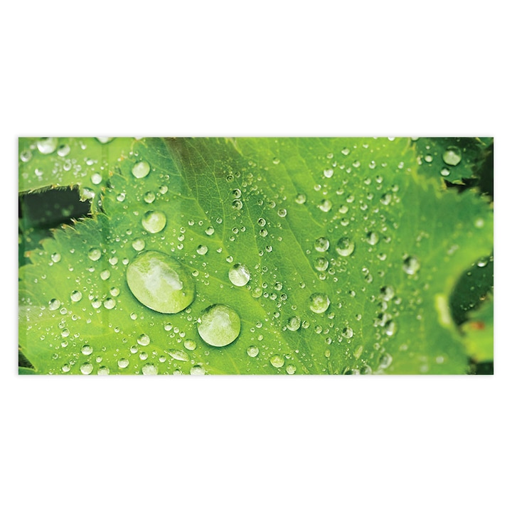 Стъклен панел за гръб на кухня, ARTHUB, green leaves with rain drops, 60x100cm