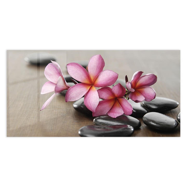 Panou Sticla Bucatarie, Branch Frangipani Zen Stones, 60x150cm